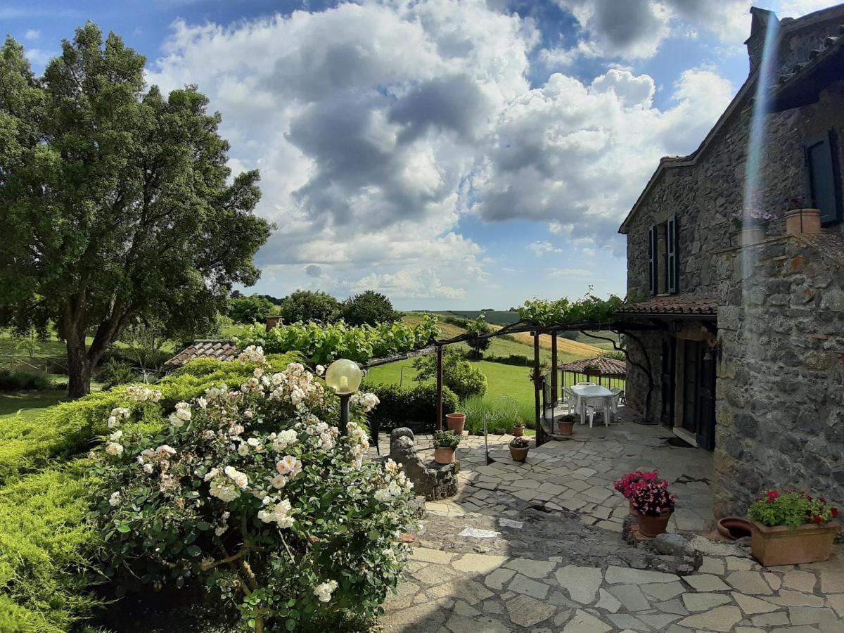 Agriturismo Cantinaccia Di Sopra Pitigliano Exterior foto