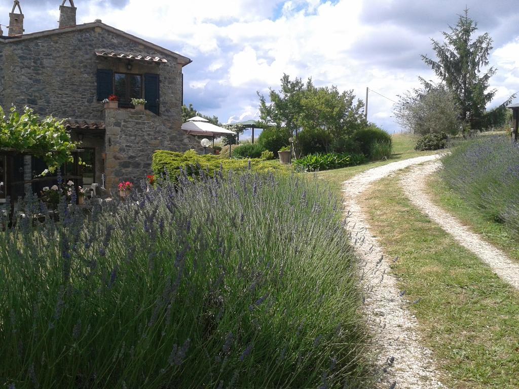Agriturismo Cantinaccia Di Sopra Pitigliano Exterior foto